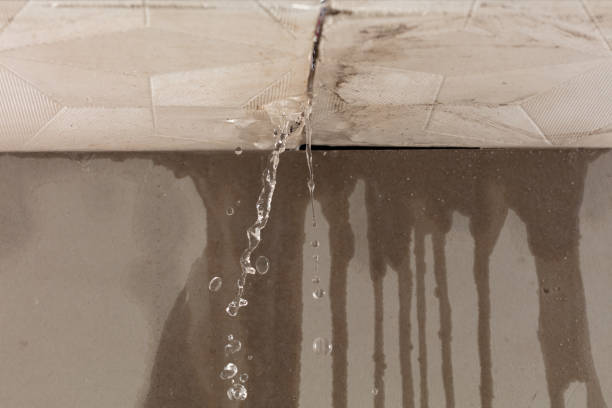 Professional Water Extraction technician working in Aurora, IN